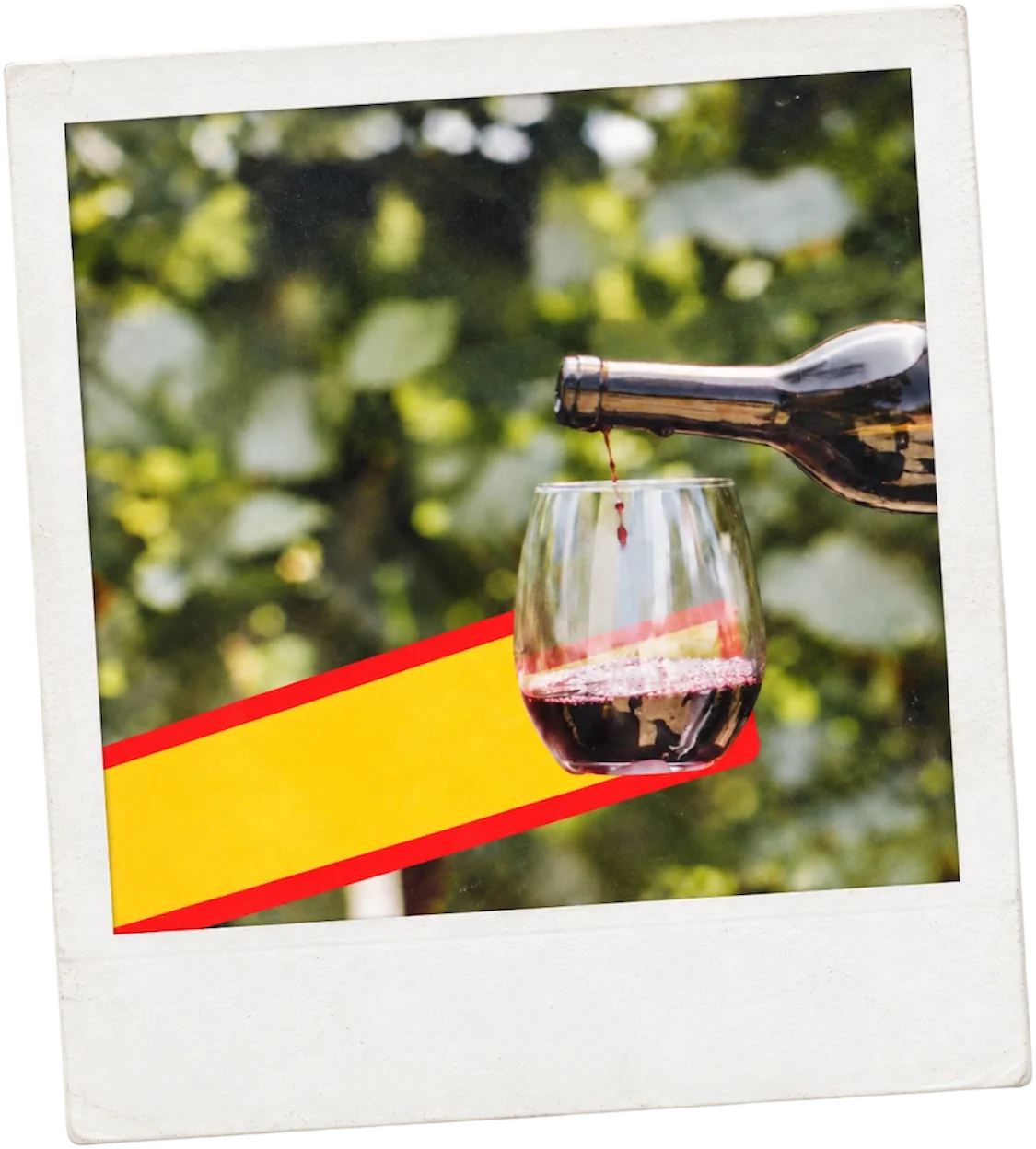 Red wine being poured in the vineyard