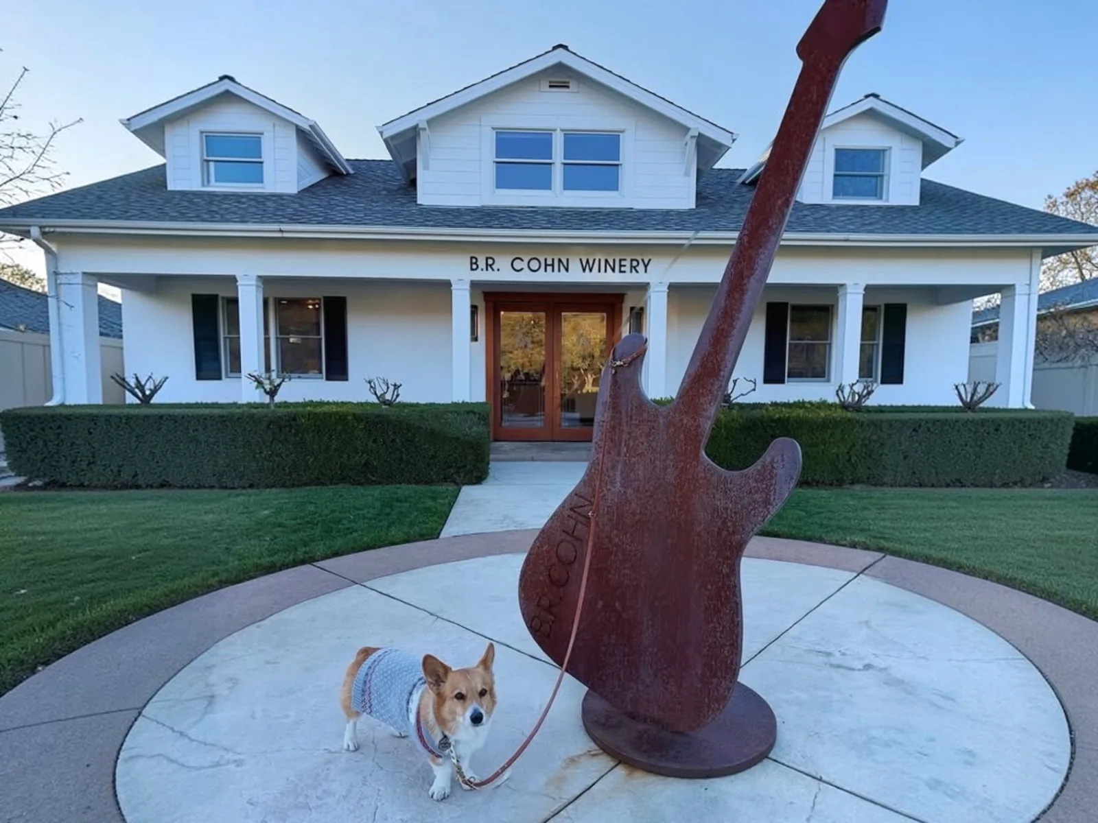 Dog-friendly wineries in Sonoma