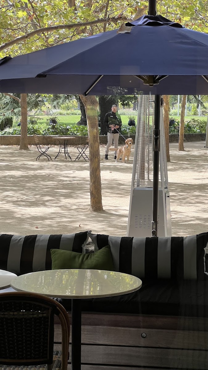 Matthew Leberer's review photo: Nigel and a golden retriever on a winery patio